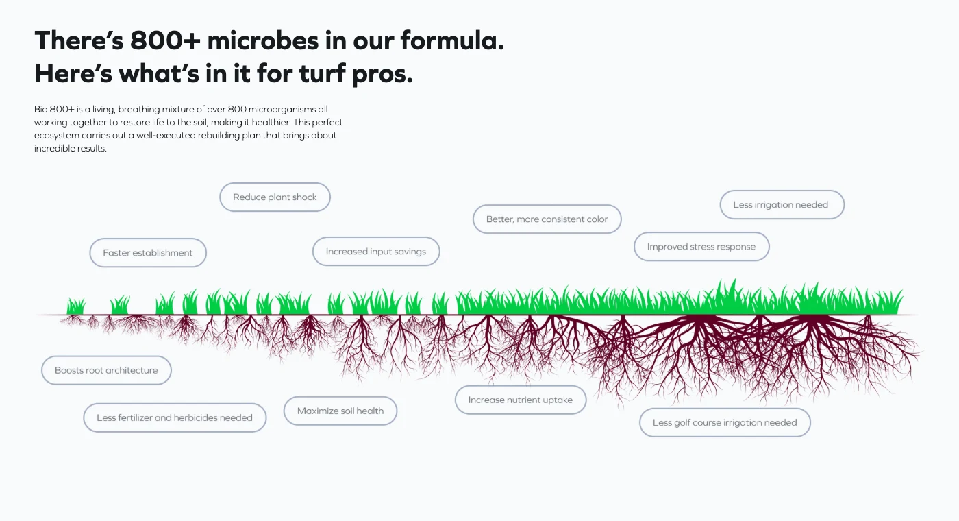 The implemented Turf page retains the growing roots and surrounding benefit labels. Final visual design by a collaborating designer. Captured September 9, 2026. Product claims belong to Holganix.